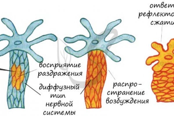 Кракен сайт store