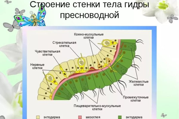 Кракен сообщество